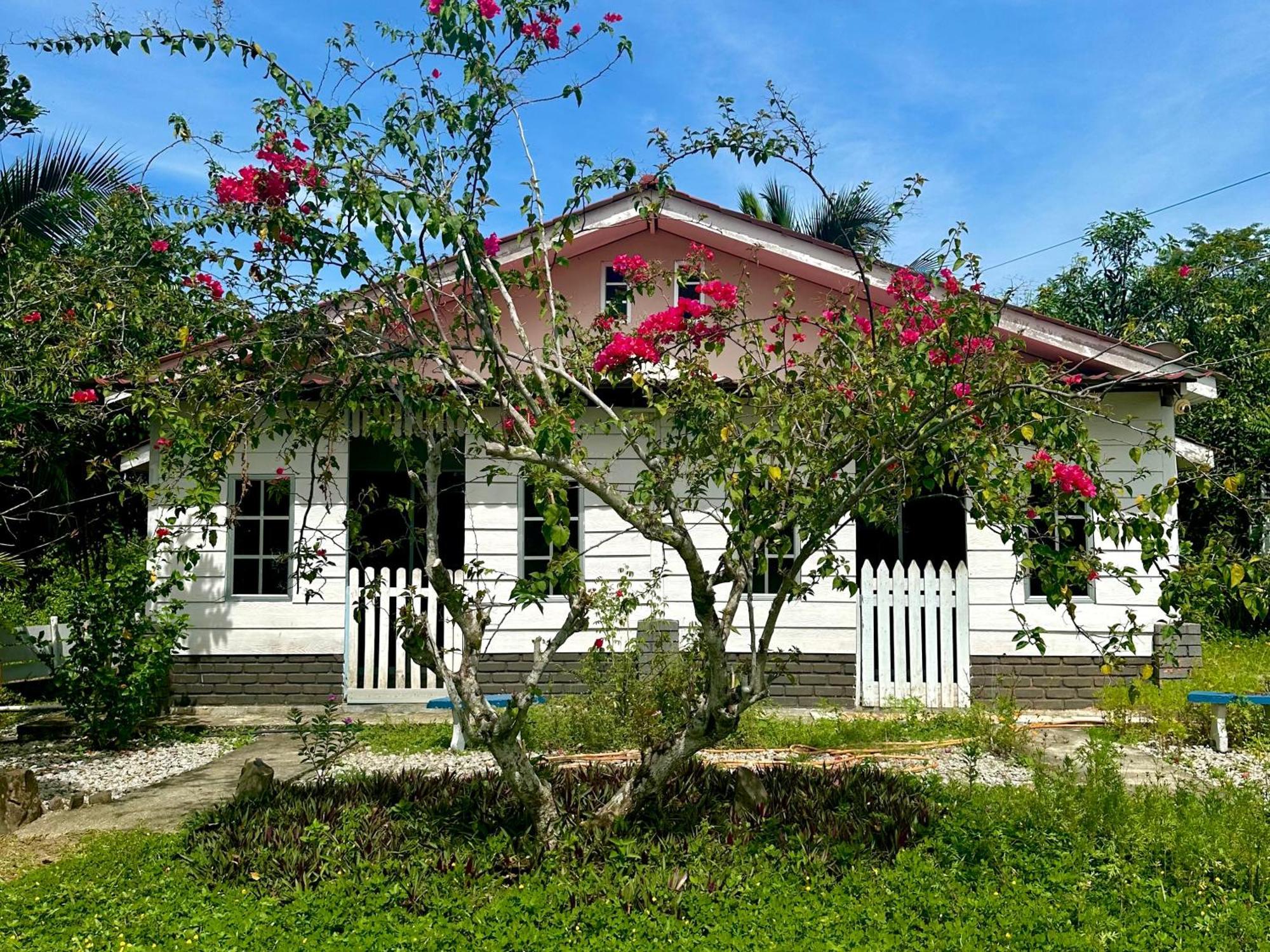 Kapal Terbang Guest House Langkawi Pantai Cenang  Extérieur photo